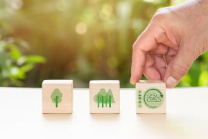 Environmental Benefits