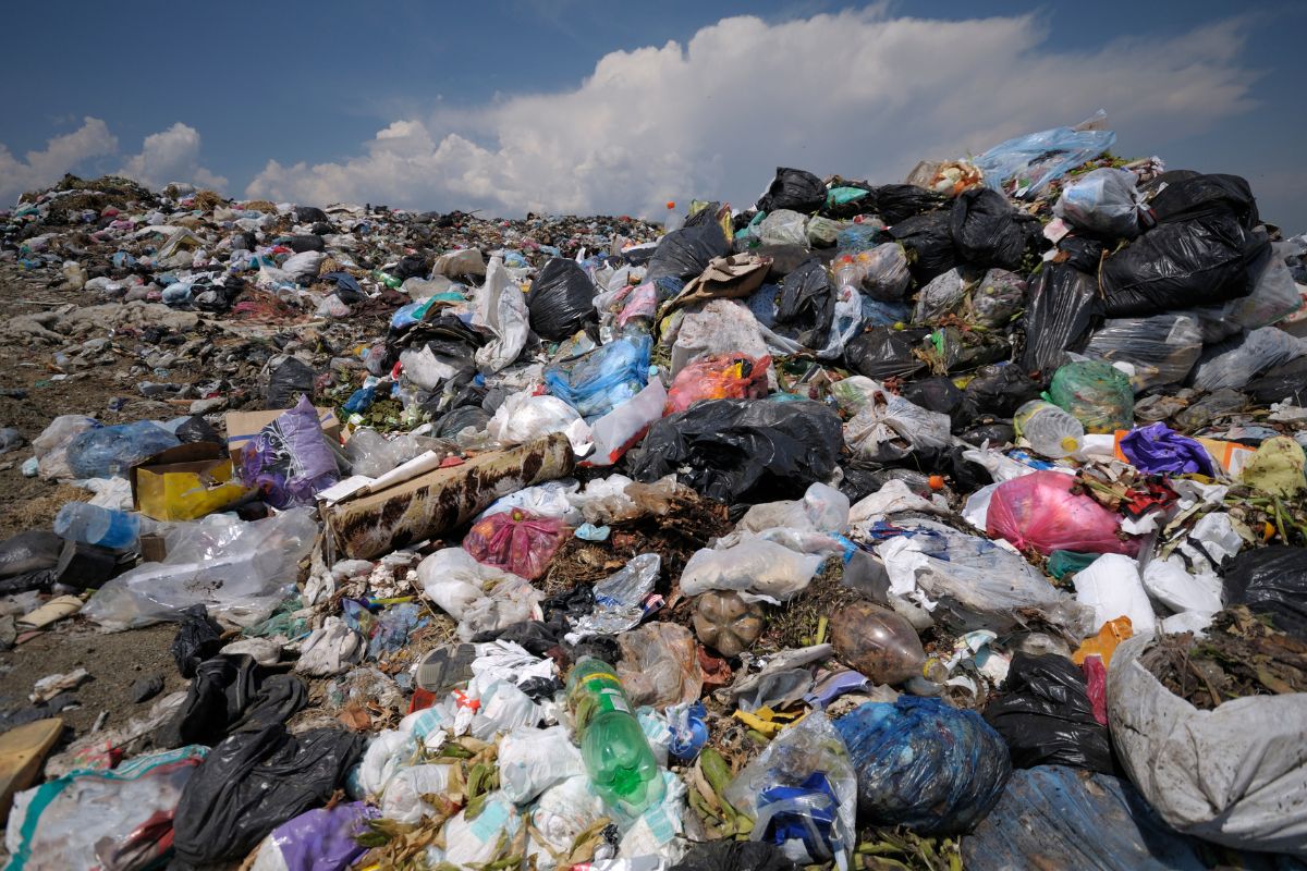 Environmental Toll of Landfills