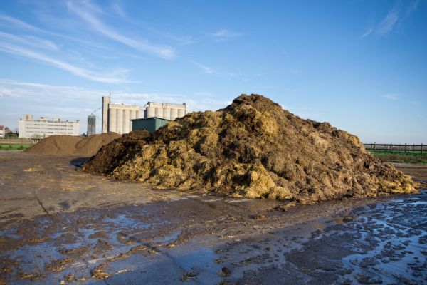 Manure to energy