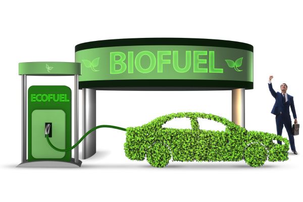 Sustainable Biofuel