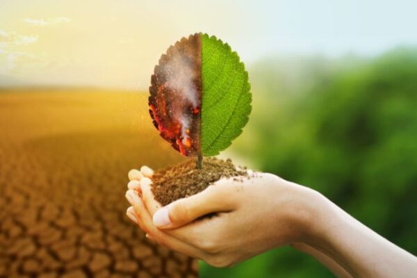 Climate Solution