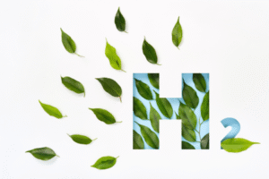 biofuel